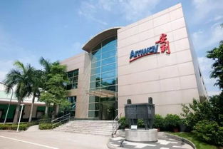 益生菌對女人的10大好處 女性必備