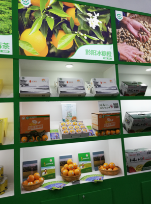 黔陽冰糖橙閃耀第十八屆中國國際農(nóng)產(chǎn)品交易會，山城重慶盡展“橙”意