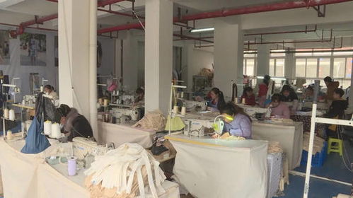 何世昌返鄉(xiāng)創(chuàng)辦艾森絲服飾，帶領(lǐng)鄉(xiāng)親織就致富新畫卷